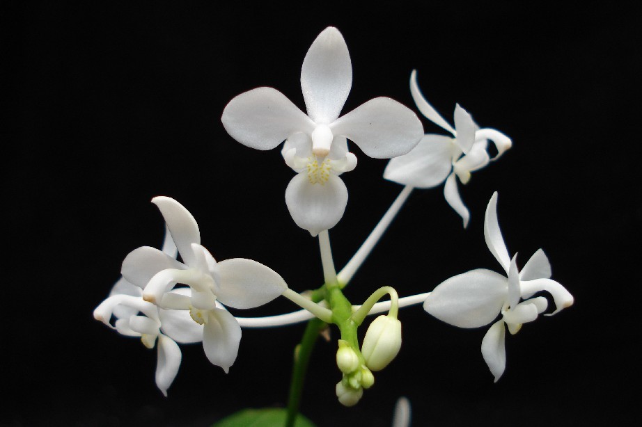 «ö¦¹¦b·sµøµ¡ÂsÄý¹Ï¤ù