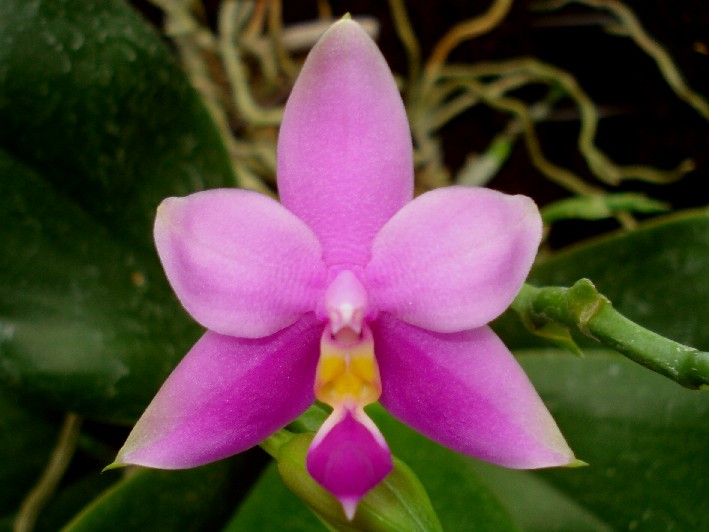 «ö¦¹¦b·sµøµ¡ÂsÄý¹Ï¤ù