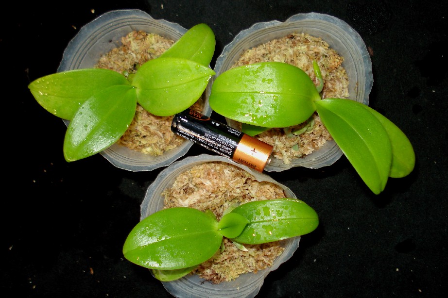 «ö¦¹¦b·sµøµ¡ÂsÄý¹Ï¤ù