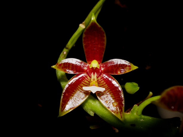 «ö¦¹¦b·sµøµ¡ÂsÄý¹Ï¤ù