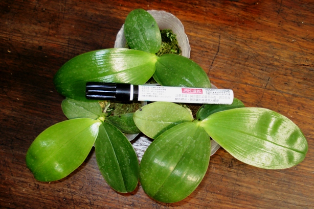 «ö¦¹¦b·sµøµ¡ÂsÄý¹Ï¤ù