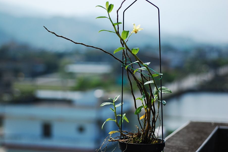 «ö¦¹¦b·sµøµ¡ÂsÄý¹Ï¤ù