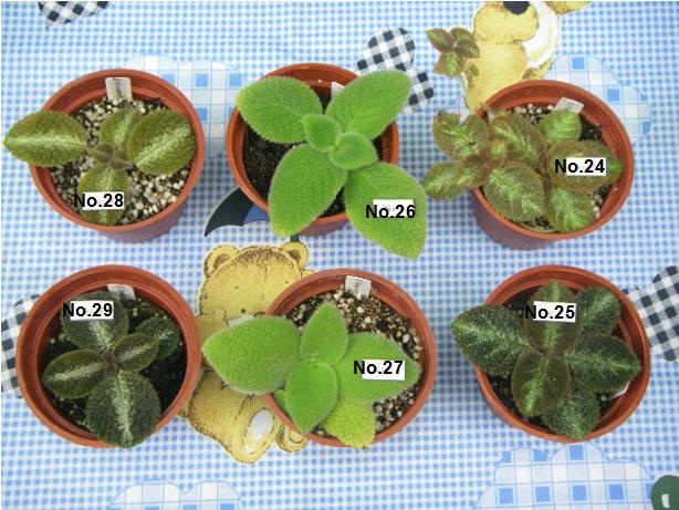 «ö¦¹¦b·sµøµ¡ÂsÄý¹Ï¤ù