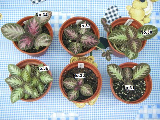 «ö¦¹¦b·sµøµ¡ÂsÄý¹Ï¤ù