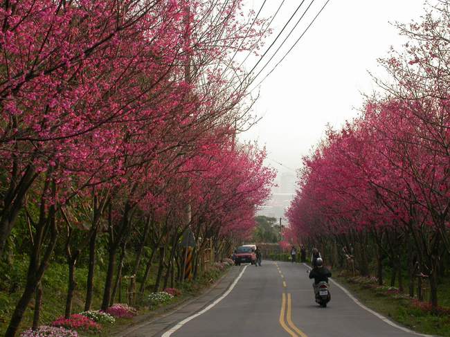 按此在新視窗瀏覽圖片