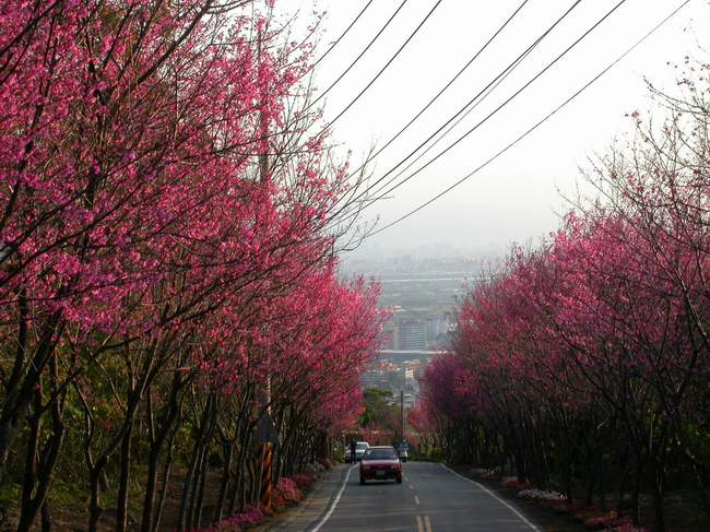 按此在新視窗瀏覽圖片