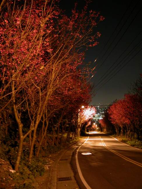 按此在新視窗瀏覽圖片