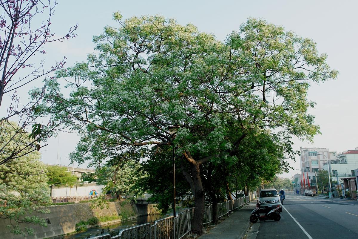 按此在新視窗瀏覽圖片