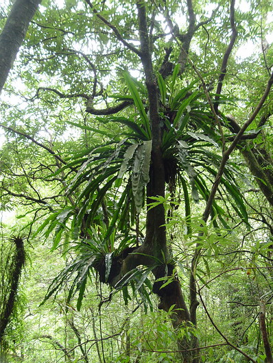 按此在新視窗瀏覽圖片