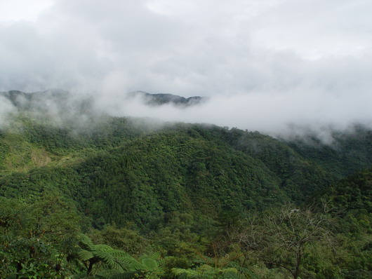按此在新視窗瀏覽圖片