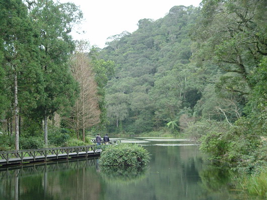 按此在新視窗瀏覽圖片