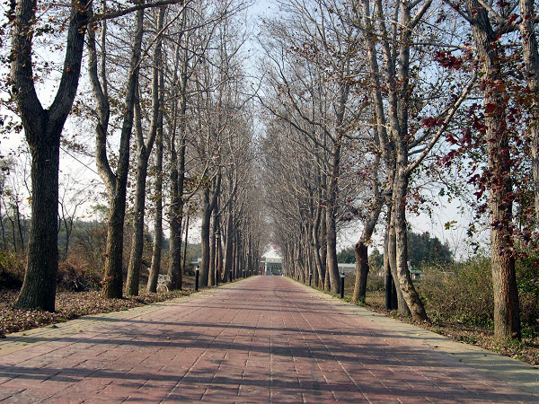 按此在新視窗瀏覽圖片