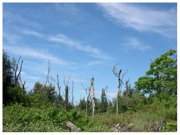 按此在新視窗瀏覽圖片