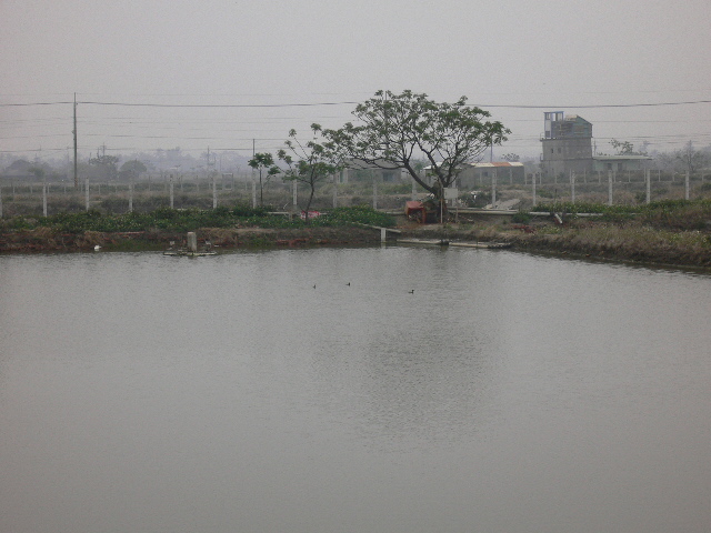 按此在新視窗瀏覽圖片