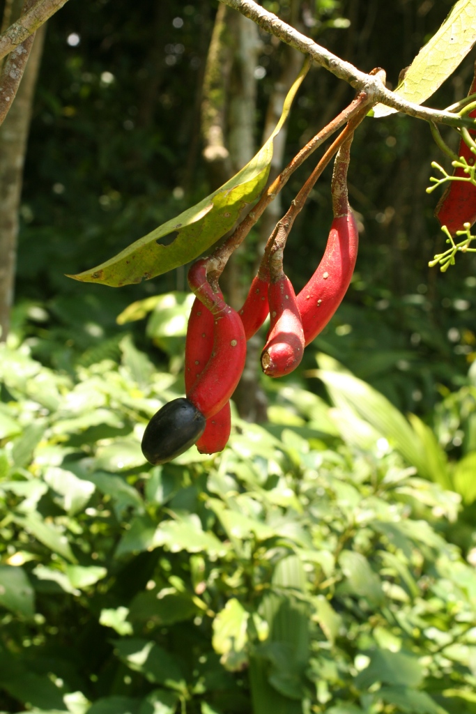 按此在新視窗瀏覽圖片