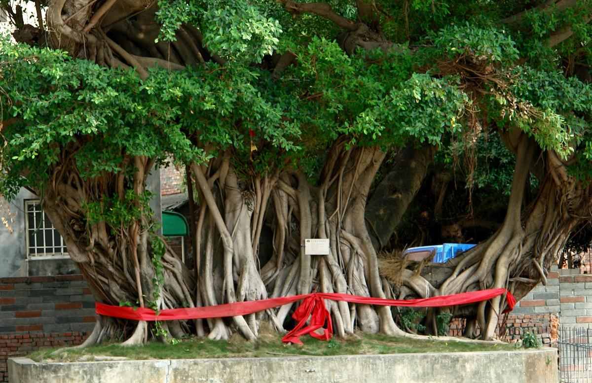 按此在新視窗瀏覽圖片