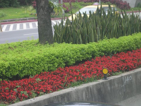 按此在新視窗瀏覽圖片