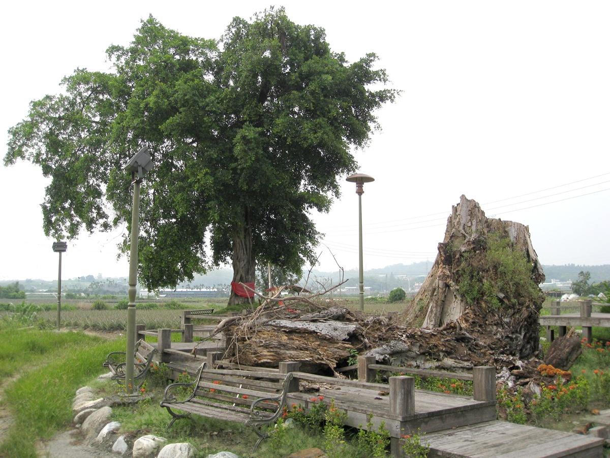 按此在新視窗瀏覽圖片