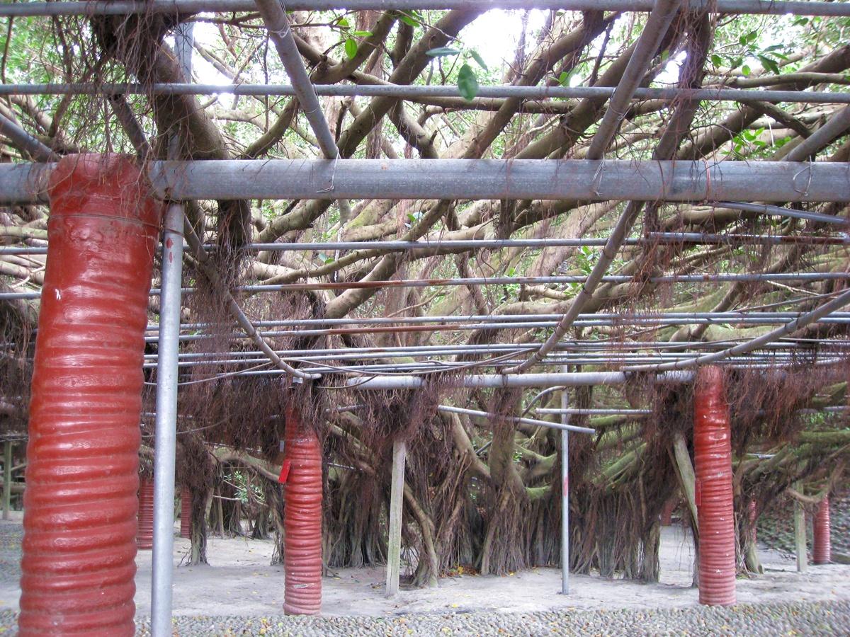 按此在新視窗瀏覽圖片