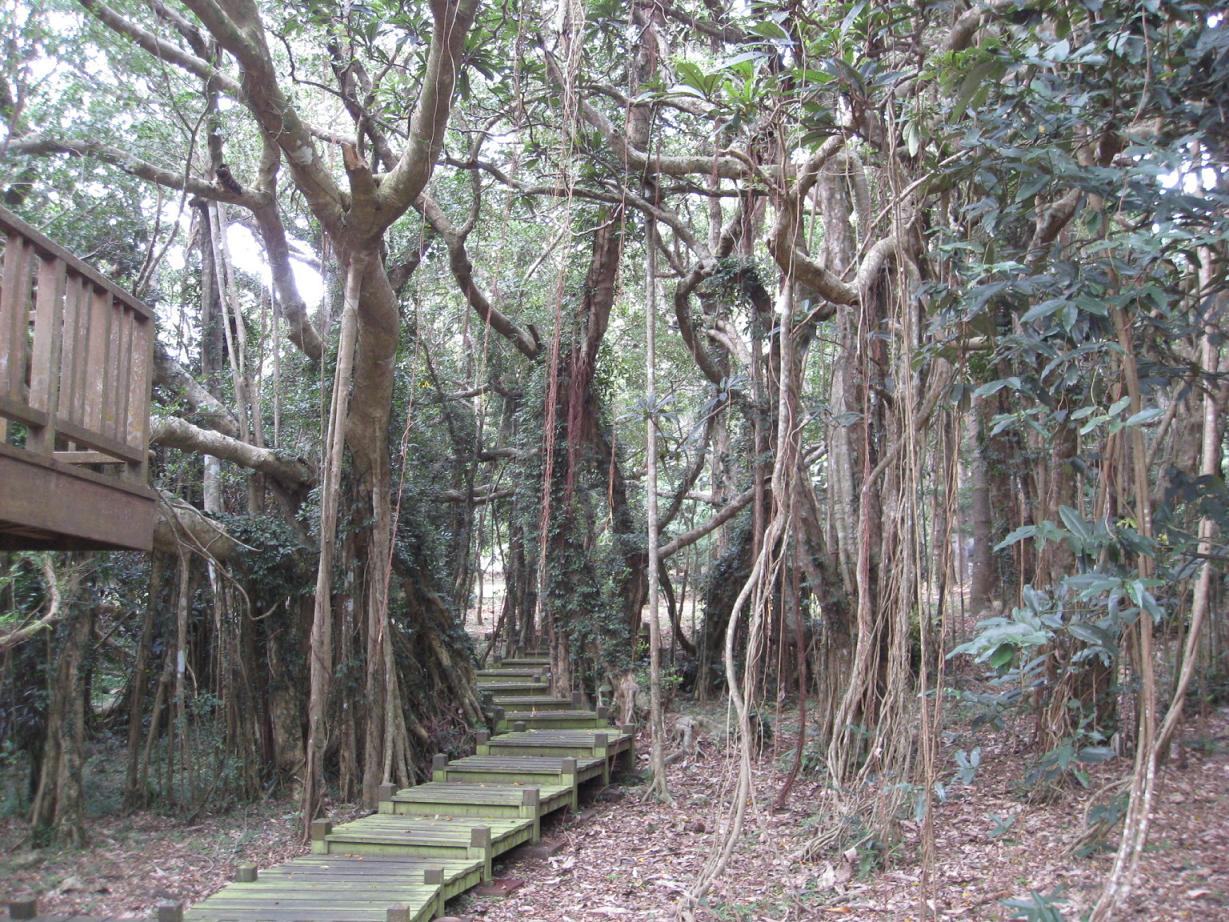 按此在新視窗瀏覽圖片