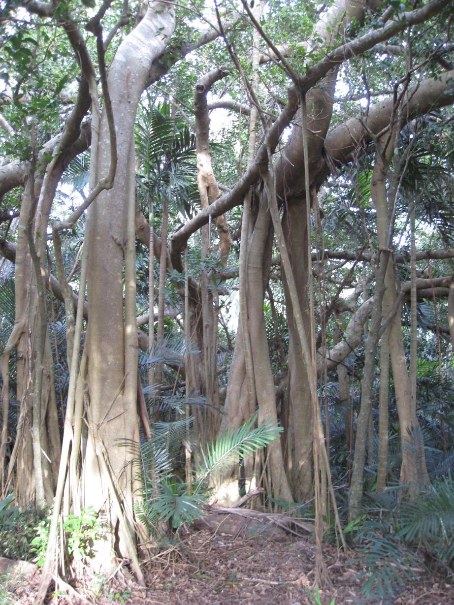 按此在新視窗瀏覽圖片