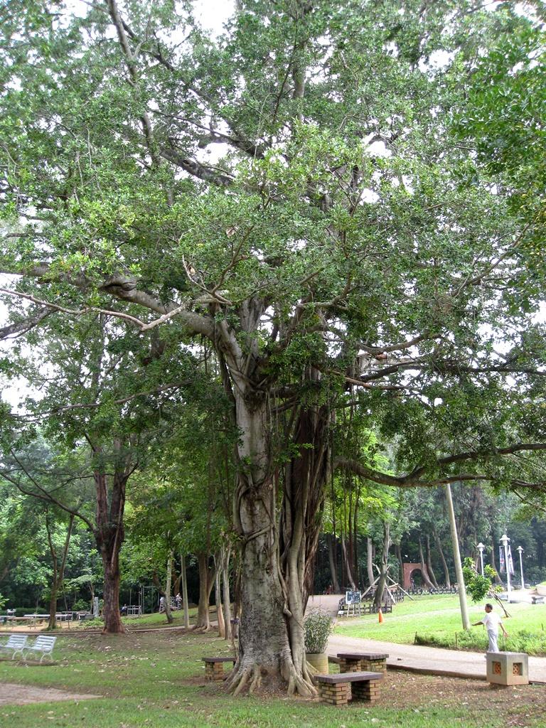 按此在新視窗瀏覽圖片
