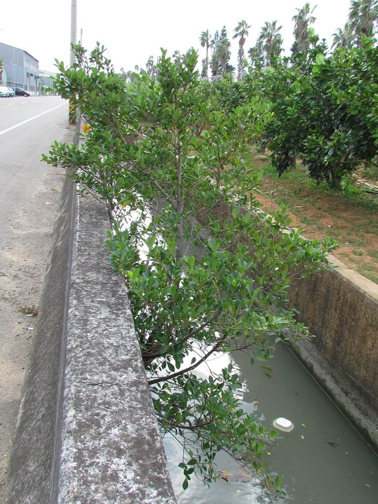 按此在新視窗瀏覽圖片