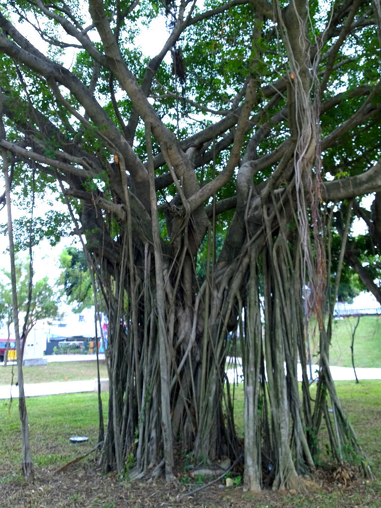 按此在新視窗瀏覽圖片