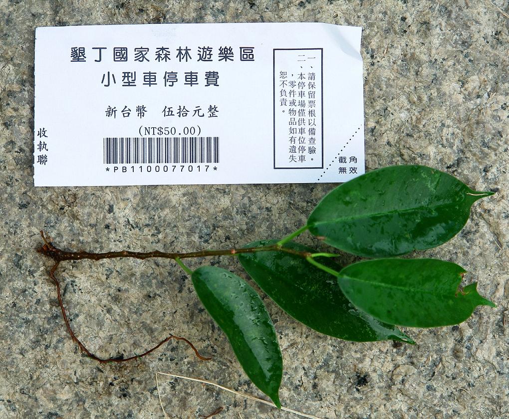 «ö¦¹¦b·sµøµ¡ÂsÄý¹Ï¤ù