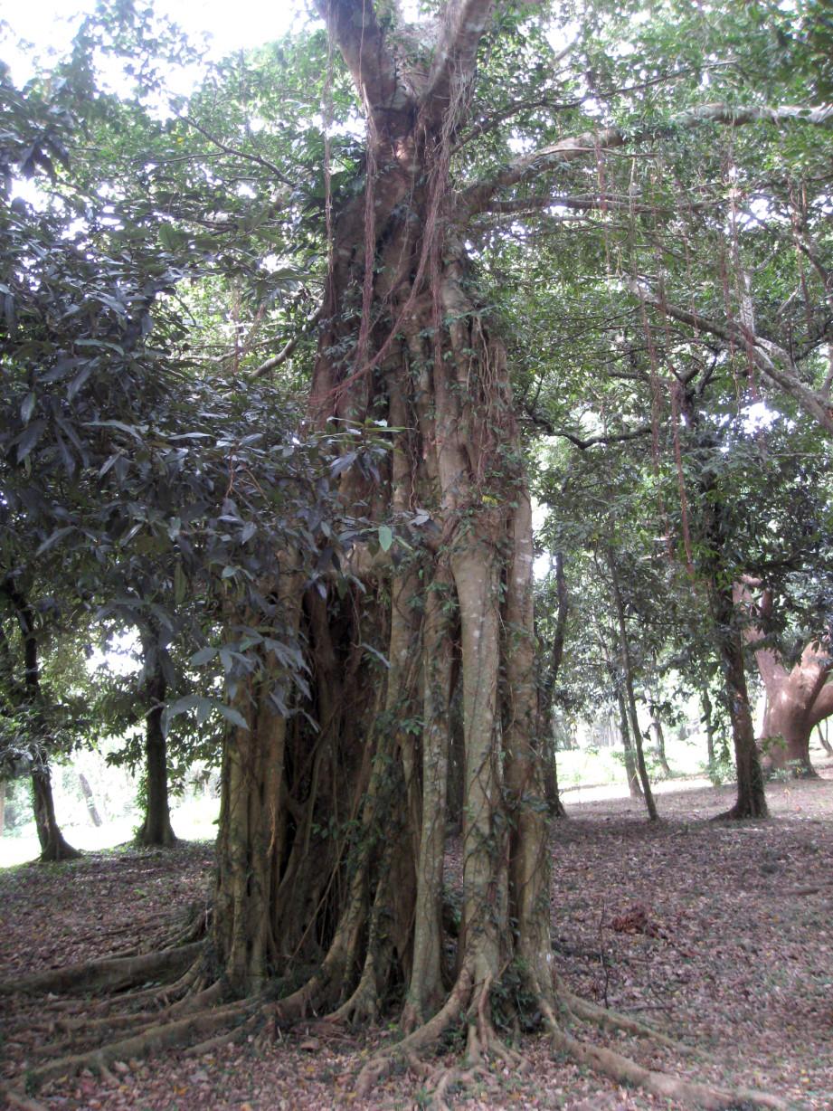 «ö¦¹¦b·sµøµ¡ÂsÄý¹Ï¤ù