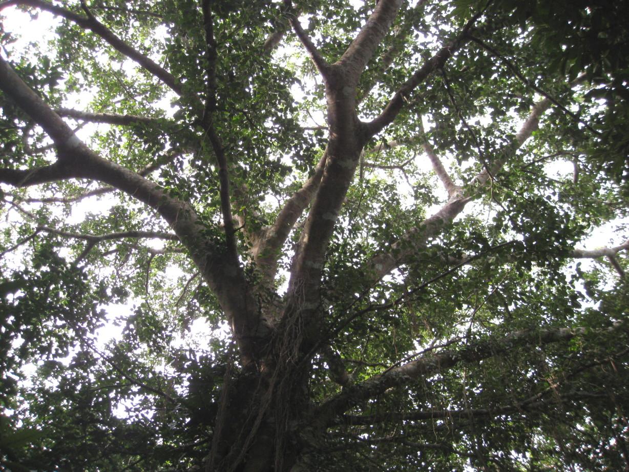 «ö¦¹¦b·sµøµ¡ÂsÄý¹Ï¤ù