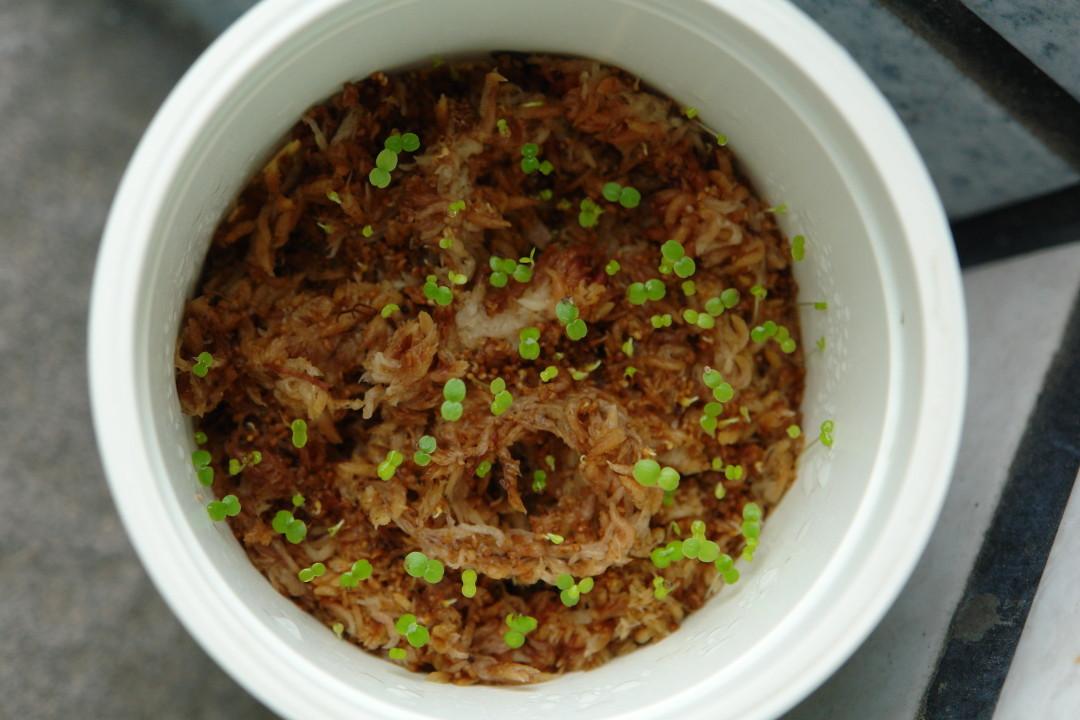 «ö¦¹¦b·sµøµ¡ÂsÄý¹Ï¤ù