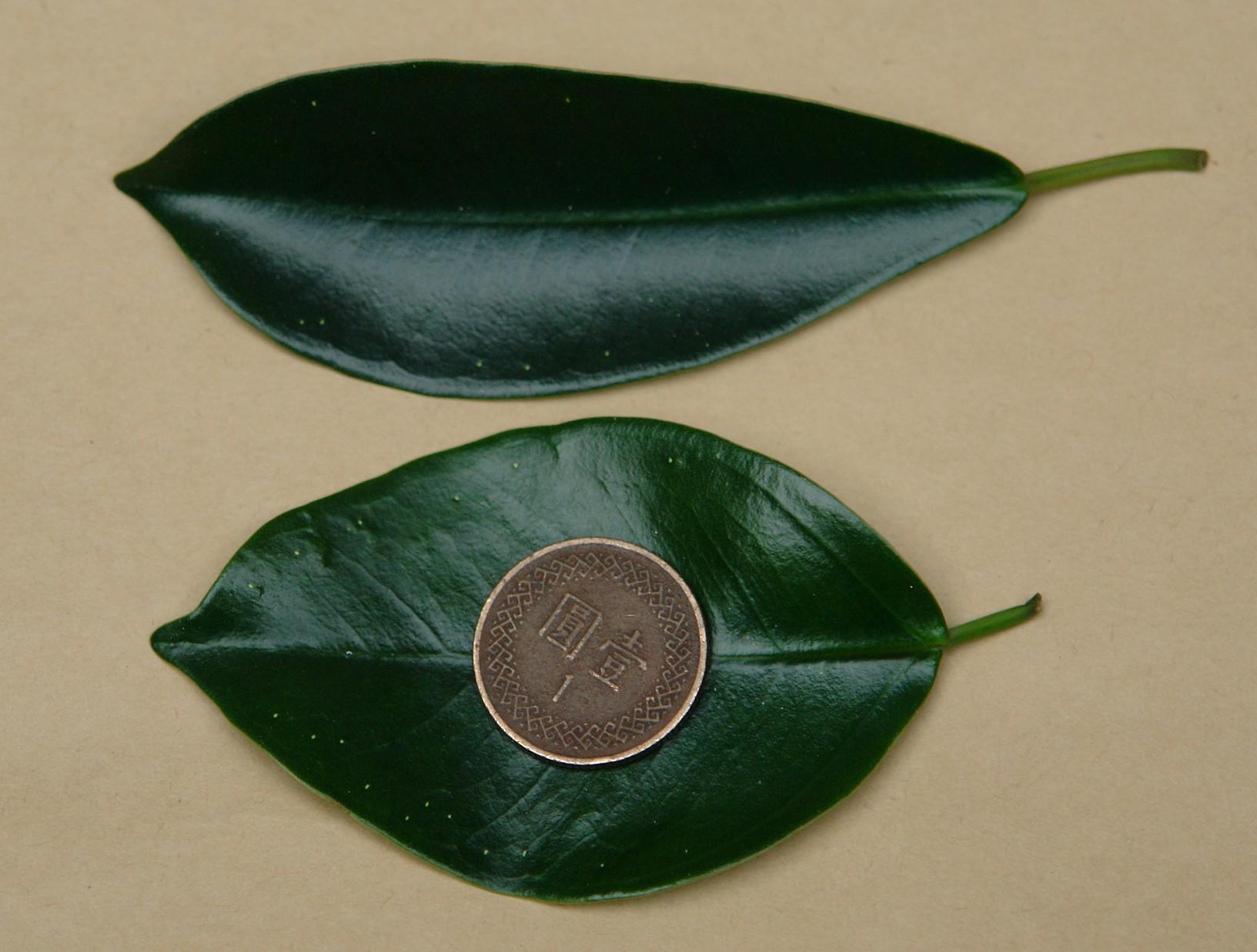 «ö¦¹¦b·sµøµ¡ÂsÄý¹Ï¤ù