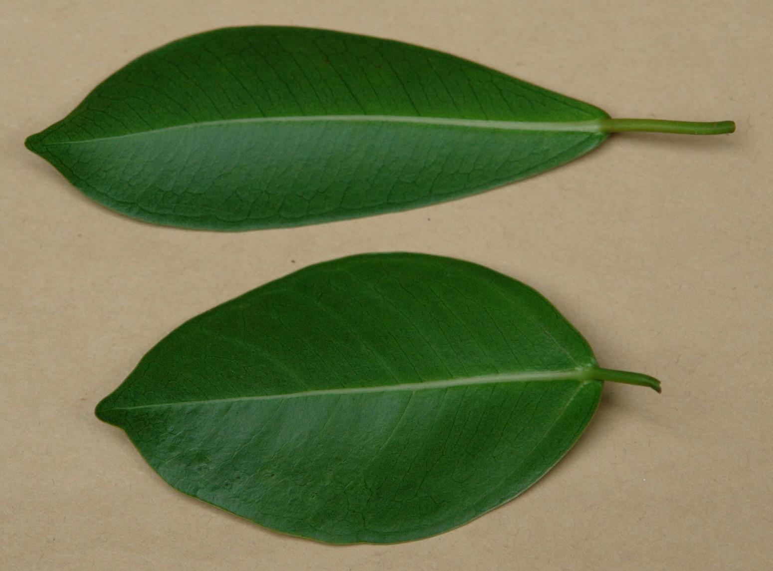 «ö¦¹¦b·sµøµ¡ÂsÄý¹Ï¤ù