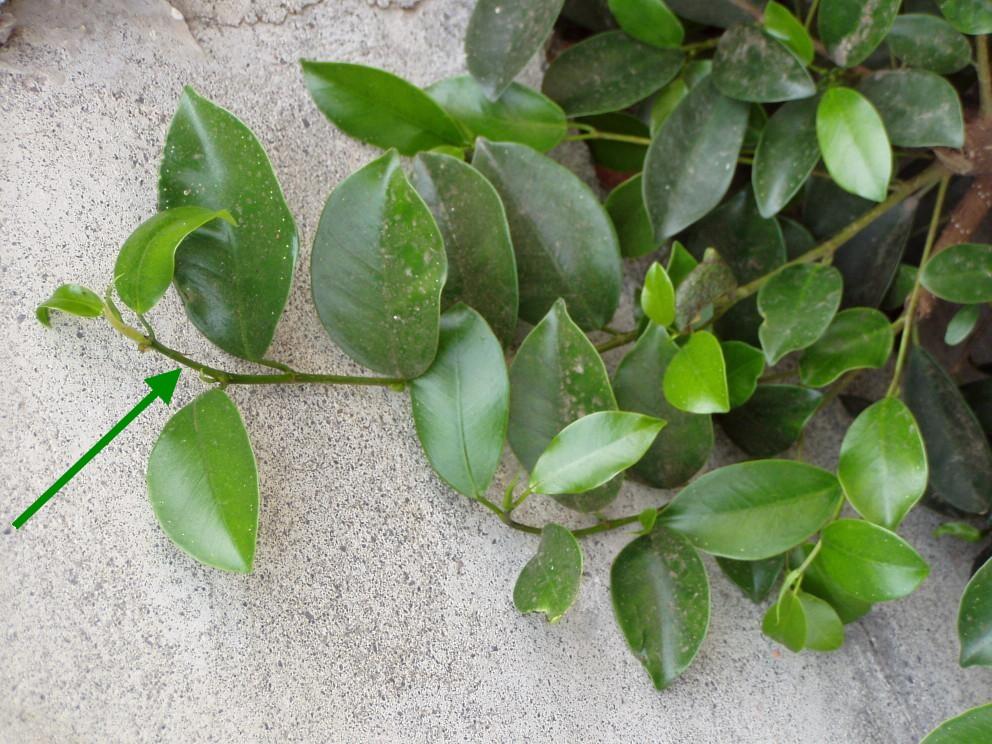 «ö¦¹¦b·sµøµ¡ÂsÄý¹Ï¤ù