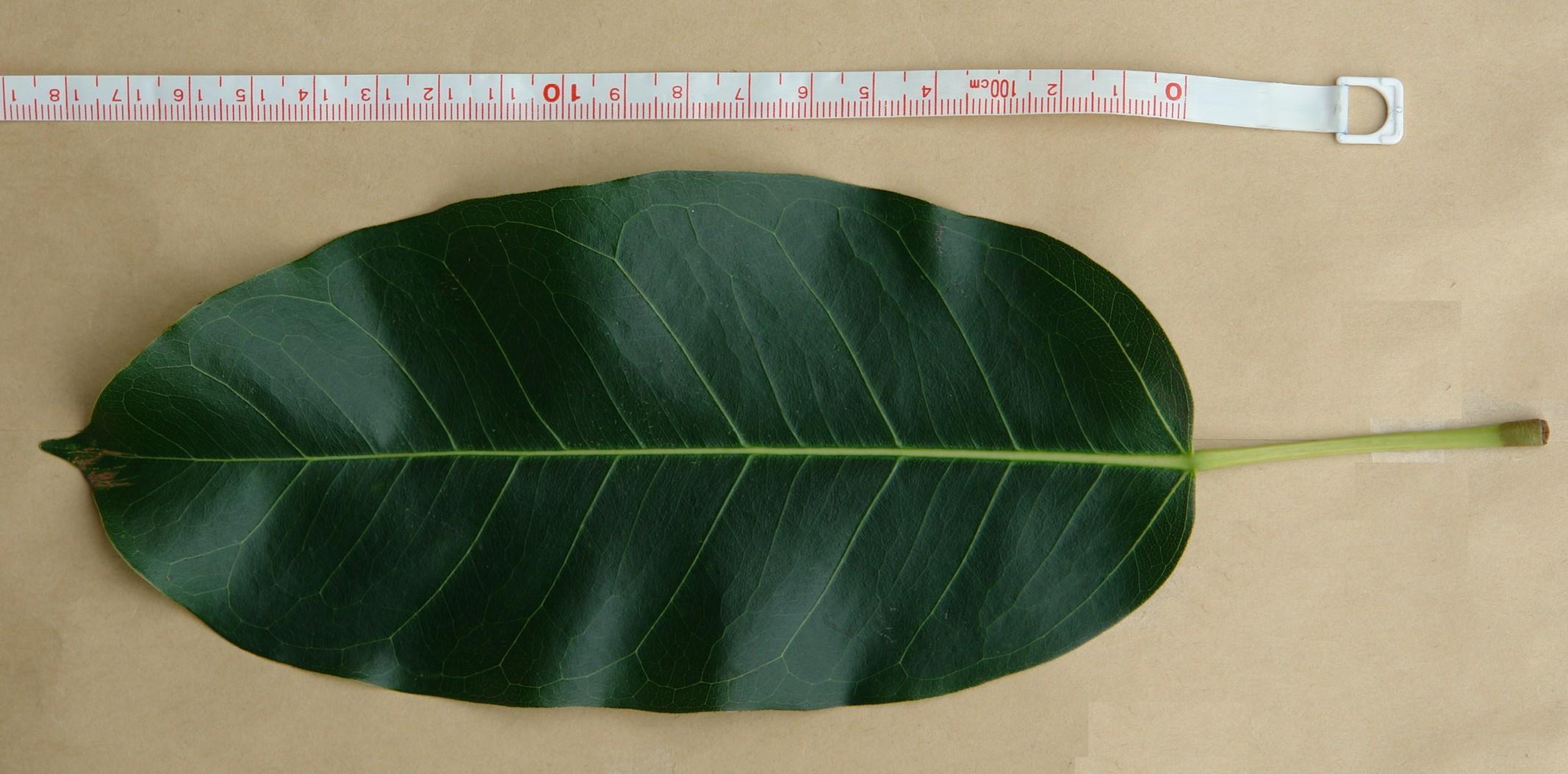 «ö¦¹¦b·sµøµ¡ÂsÄý¹Ï¤ù