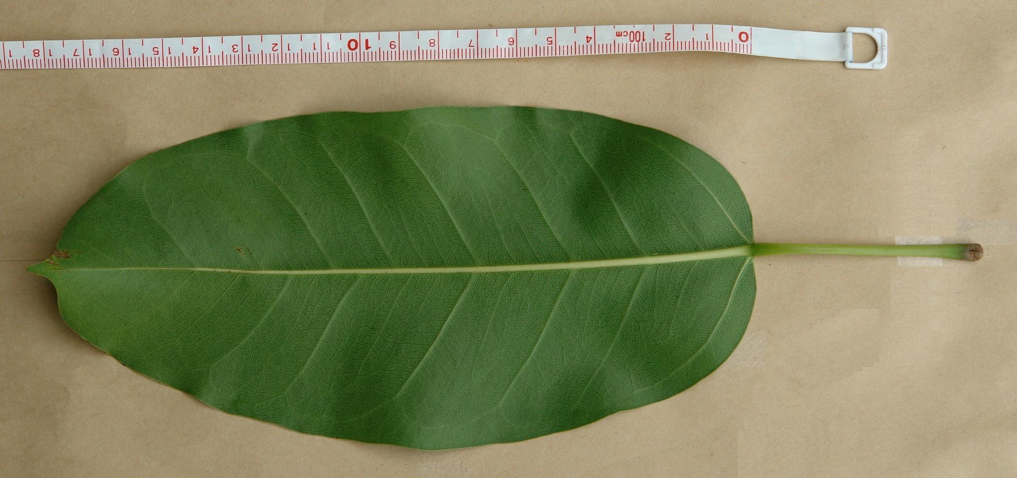 «ö¦¹¦b·sµøµ¡ÂsÄý¹Ï¤ù