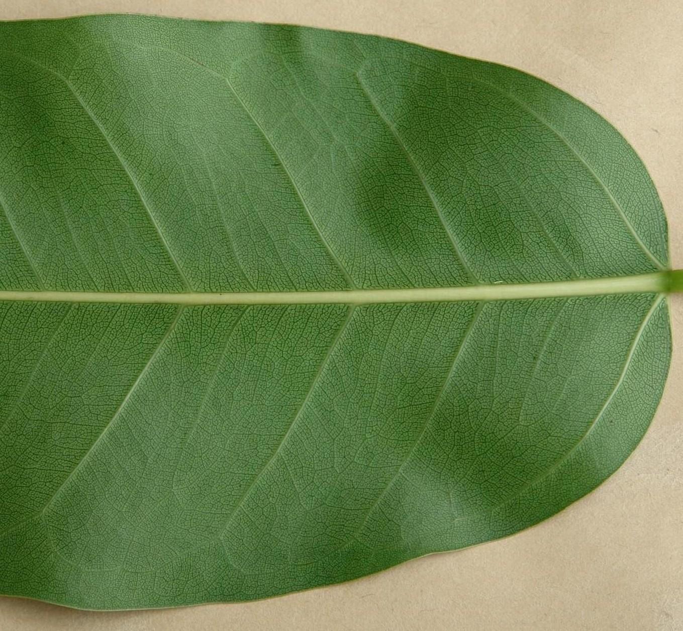 «ö¦¹¦b·sµøµ¡ÂsÄý¹Ï¤ù