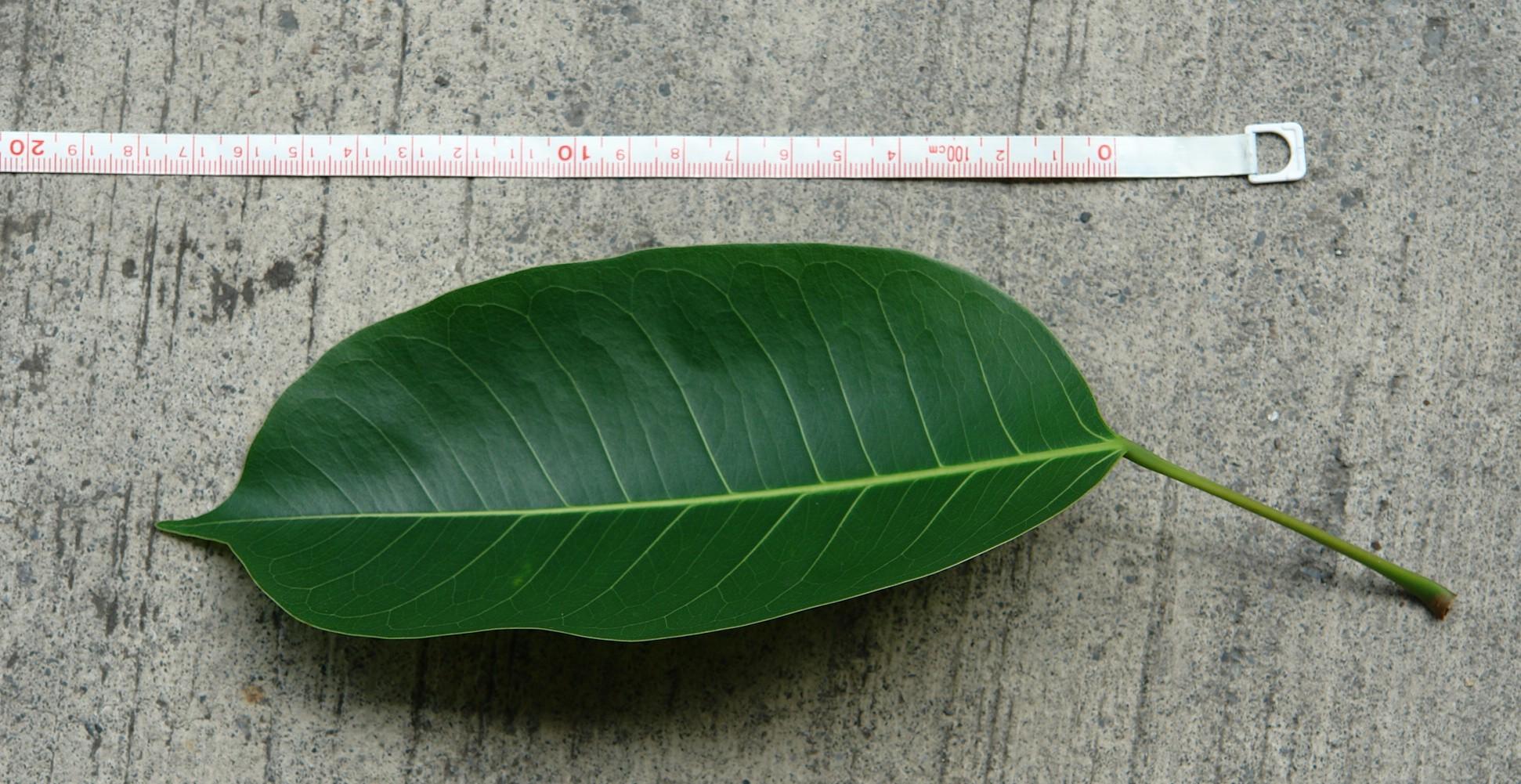 «ö¦¹¦b·sµøµ¡ÂsÄý¹Ï¤ù