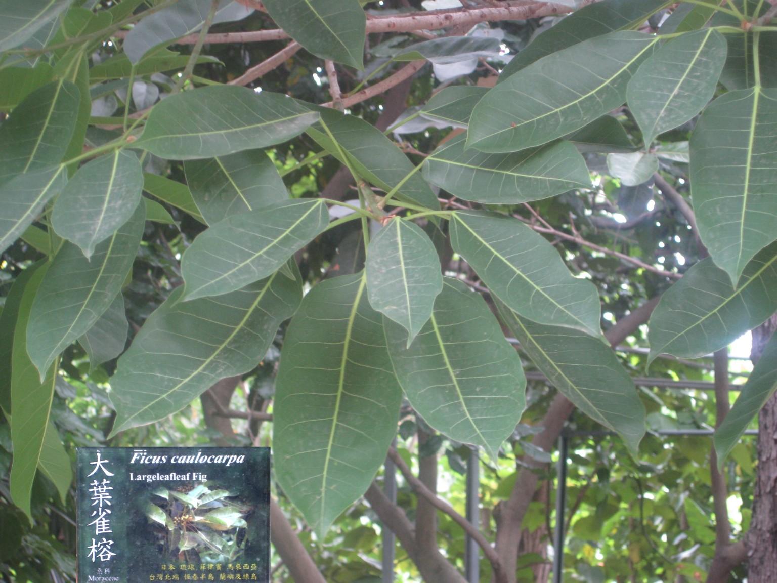 «ö¦¹¦b·sµøµ¡ÂsÄý¹Ï¤ù