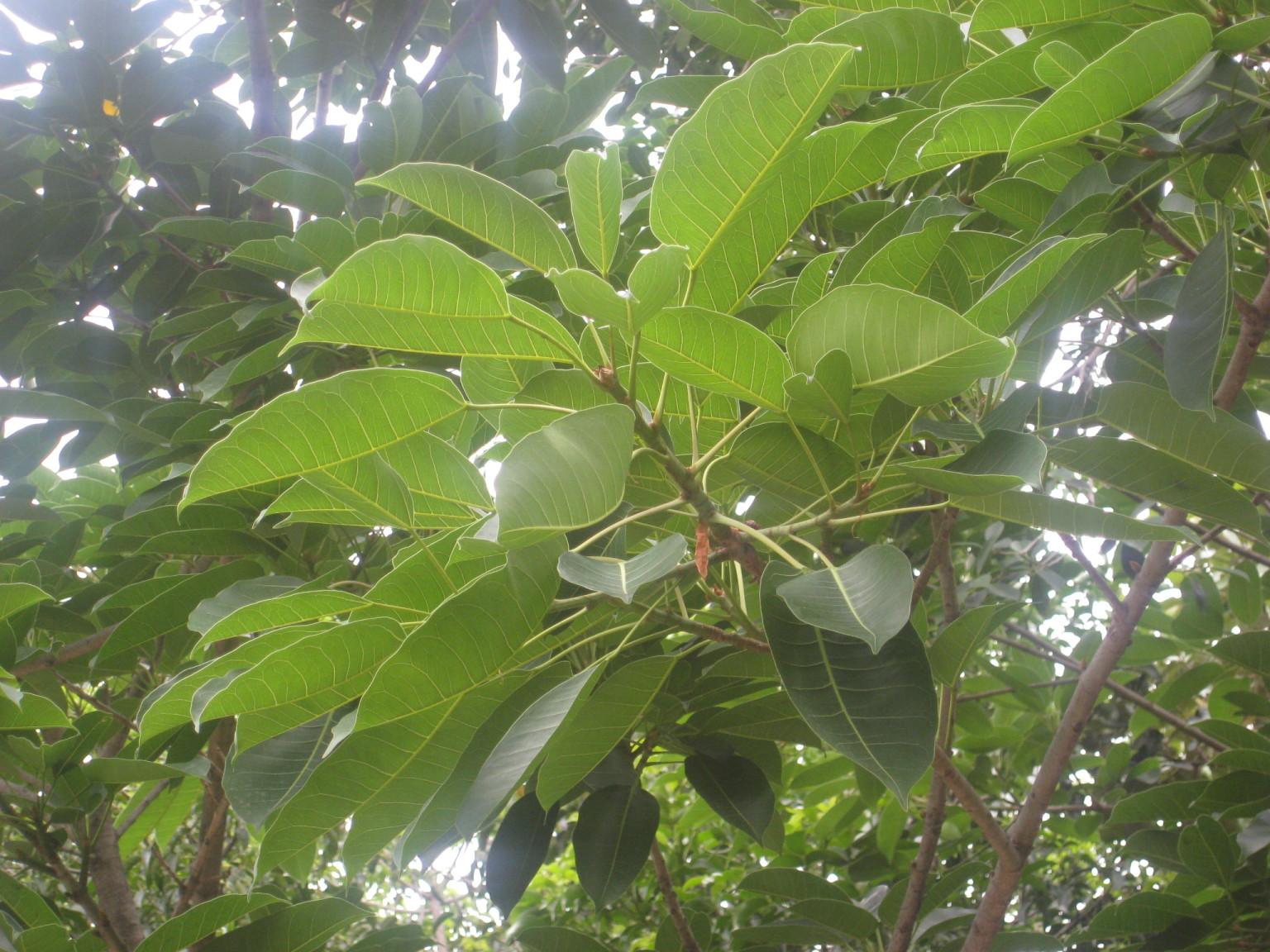 «ö¦¹¦b·sµøµ¡ÂsÄý¹Ï¤ù