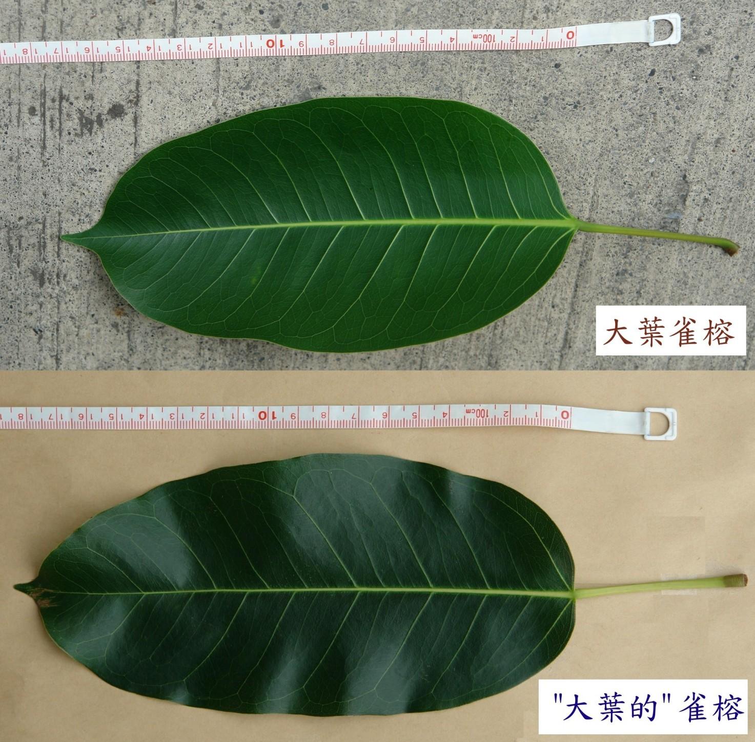 «ö¦¹¦b·sµøµ¡ÂsÄý¹Ï¤ù