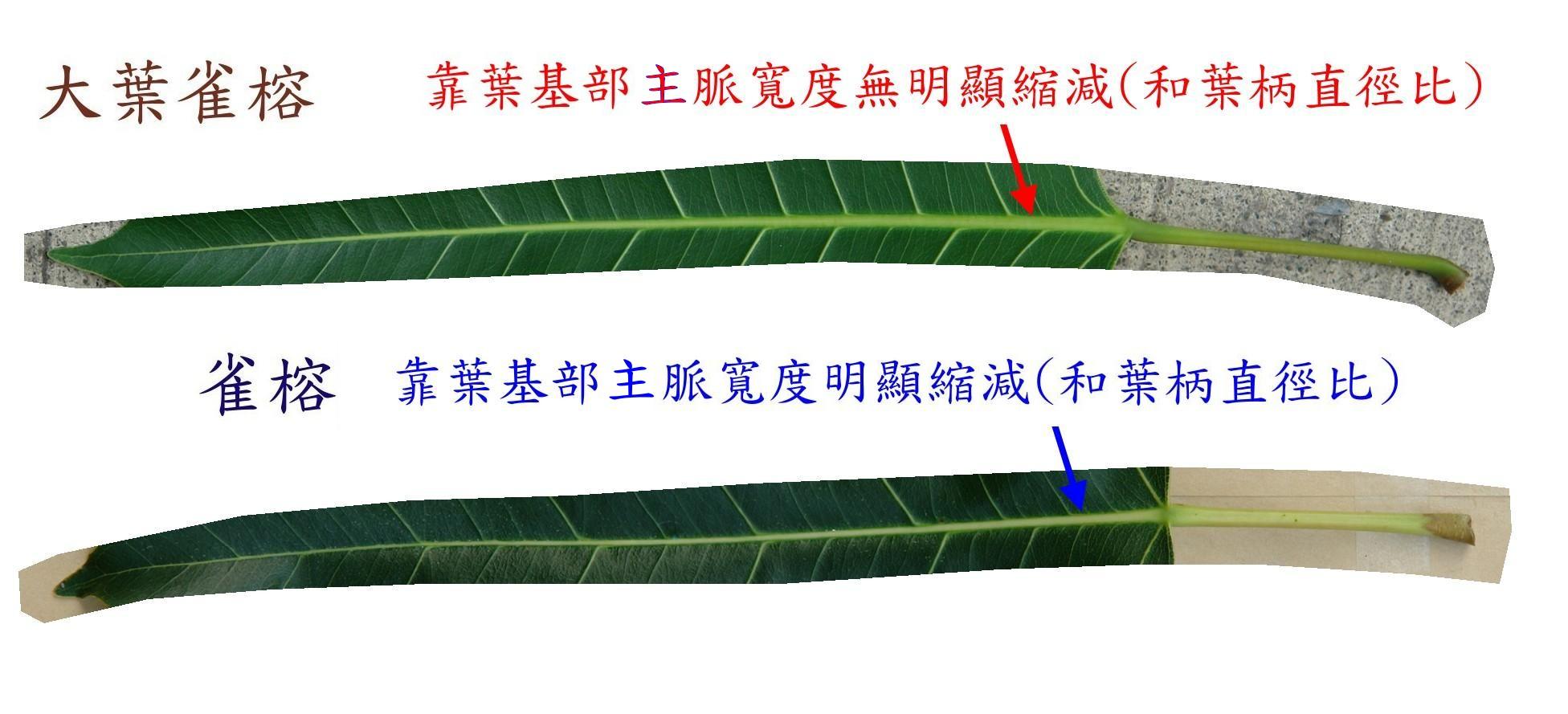 «ö¦¹¦b·sµøµ¡ÂsÄý¹Ï¤ù