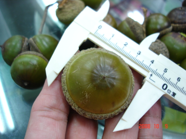 «ö¦¹¦b·sµøµ¡ÂsÄý¹Ï¤ù