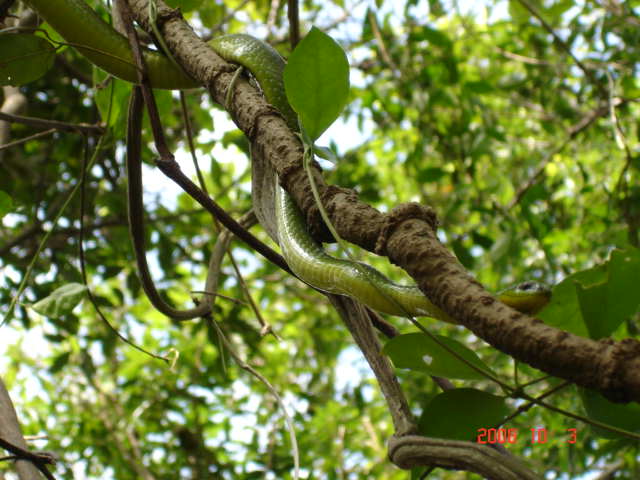 «ö¦¹¦b·sµøµ¡ÂsÄý¹Ï¤ù