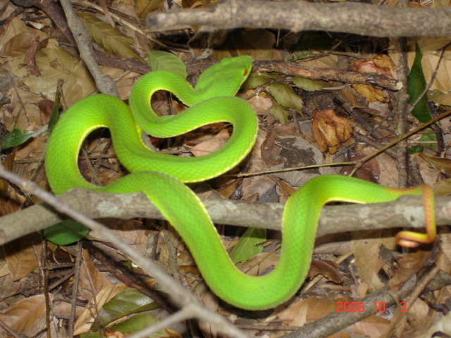 «ö¦¹¦b·sµøµ¡ÂsÄý¹Ï¤ù