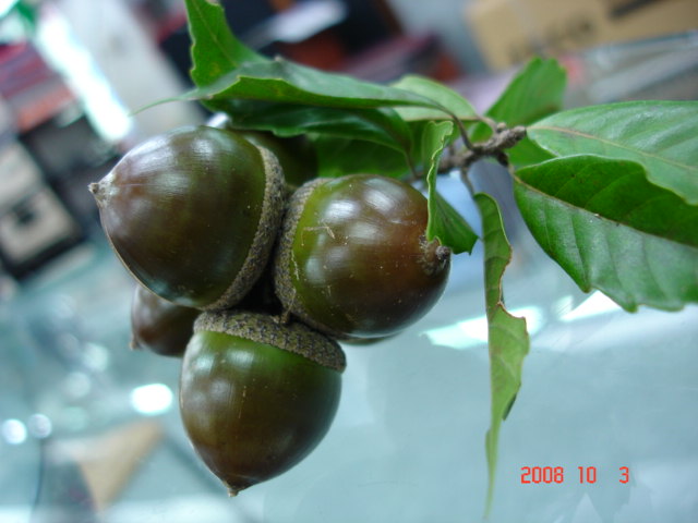 «ö¦¹¦b·sµøµ¡ÂsÄý¹Ï¤ù