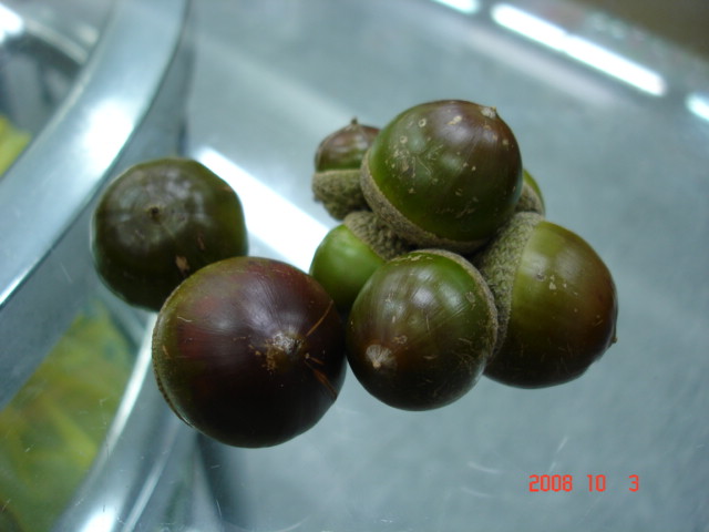 «ö¦¹¦b·sµøµ¡ÂsÄý¹Ï¤ù