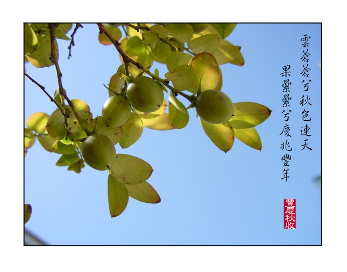 按此在新視窗瀏覽圖片