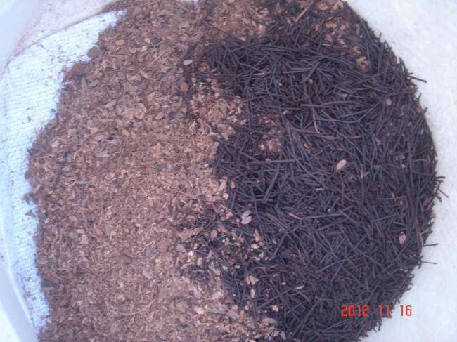 «ö¦¹¦b·sµøµ¡ÂsÄý¹Ï¤ù